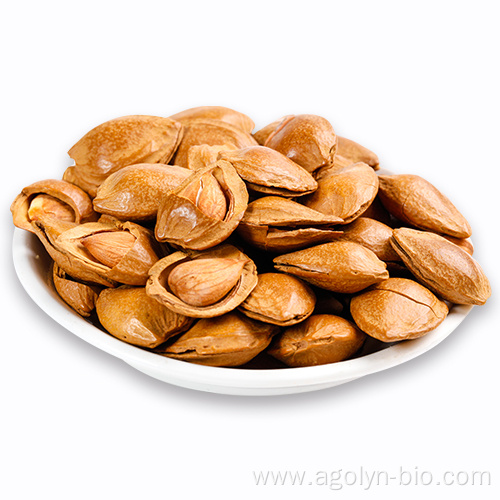 Big Size Healthy Snacks High Nutrition Apricot Nuts